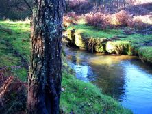parque natural monte aloia por teresalaloba.jpg